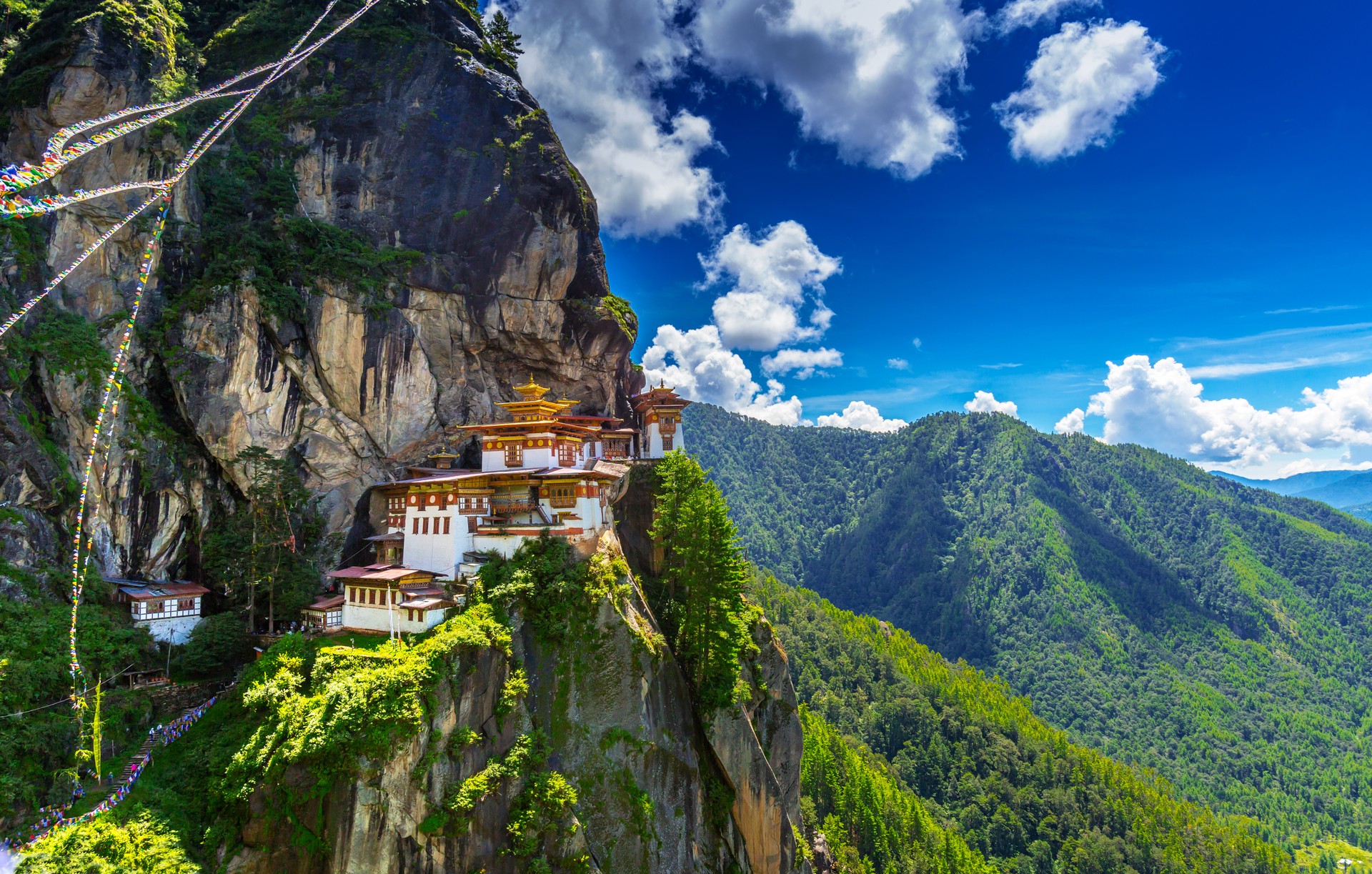 Go Himalaya Nepal