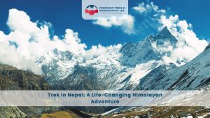 Trek in Nepal: A Life-Changing Himalayan Adventure